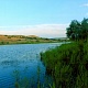 НОВОСПАССКИЙ РАЙОН. Петров Никита. Пруд Зыков ключ